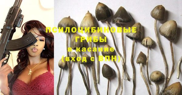 круглые Майский