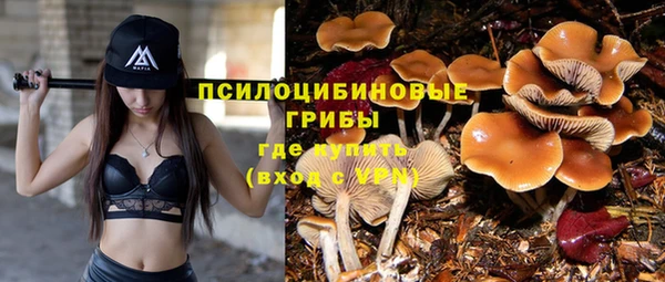 дживик Магас