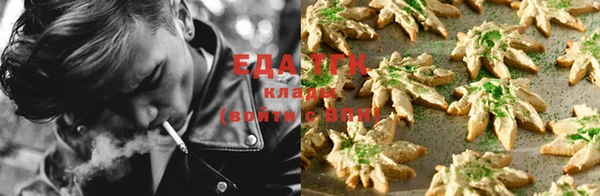 дживик Магас
