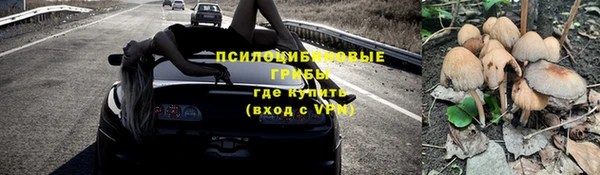 МДПВ Магадан